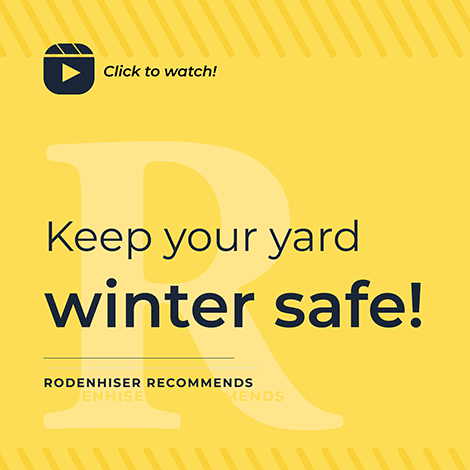 How to Keep Your Yard Winter Safe?
