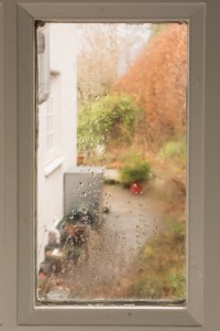 condensation on home windows